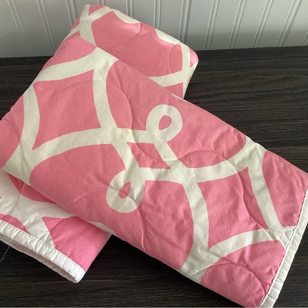 Pottery Barn Teen Pink Shams (2) Full/Queen